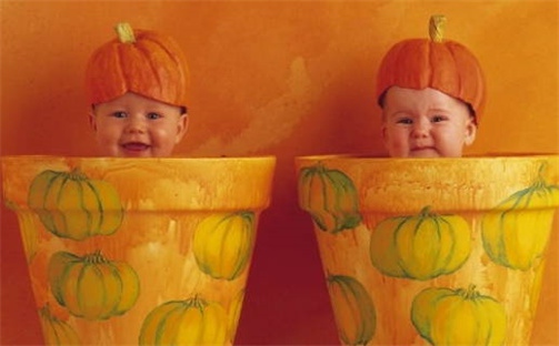 毛姓女生五行八字取名：诗意唯美好名字推荐